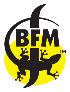 logo-bfm